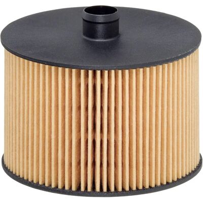 Filtro carburante Hengst E79KP D118 - Filtro carburante per Citroën, Peugeot, Ford Filtro carburante Hengst E79KP D118 - Filtro carburante per Citroën, Peugeot, Ford