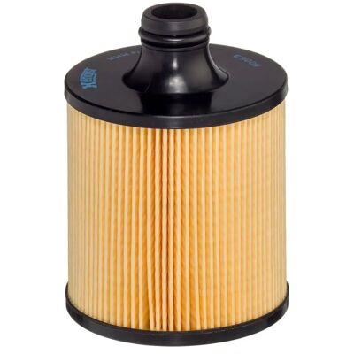 Hengst E50318 - Oliefilter til Audi Q7, Q8, A8, Porsche Panamera, Bentley Bentayga Hengst E50318 - Oliefilter til Audi Q7, Q8, A8, Porsche Panamera, Bentley Bentayga