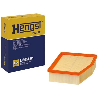 Hengst - E665L01 - 225x186x62 - VW Phaeton - Filtru de aer Hengst - E665L01 - 225x186x62 - VW Phaeton - Filtru de aer