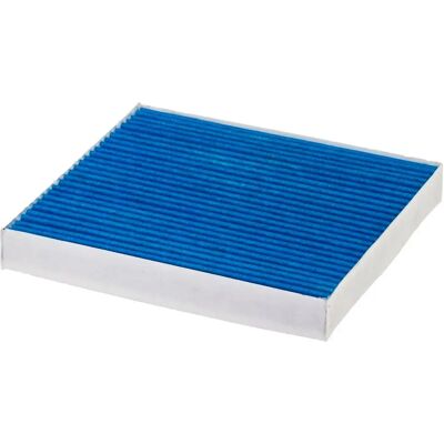 Filtro aria interno Hyundai C30521 - Antibatterico Filtro aria interno Hyundai C30521 - Antibatterico