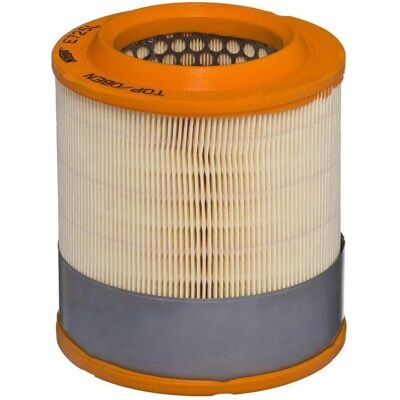 Hengst Audi A8 E725L Filter - Patron, 152mm, 185mm Hengst Audi A8 E725L Filter - Patron, 152mm, 185mm