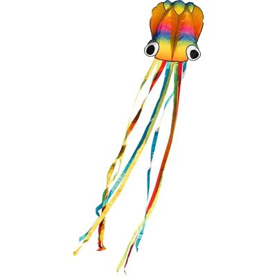 HQ Regenbogen Octopus Drachen - Unterstützt Wind 2-5 Bft HQ Regenbogen Octopus Drachen - Unterstützt Wind 2-5 Bft