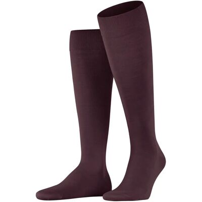 Falke Climawool Kniehohe Socken - Burgund - Merino Wolle, Atmungsaktiv, Langlebig - Socken Falke Climawool Kniehohe Socken - Burgund - Merino Wolle, Atmungsaktiv, Langlebig - Socken