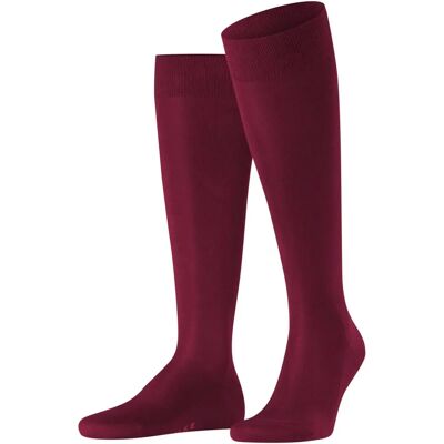 Falke Tiago Kniestrümpfe - Barolo - Socken Falke Tiago Kniestrümpfe - Barolo - Socken