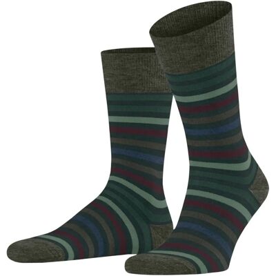 Wielkie Zielenie Forest Striped Skarpety Falke - Skarpety Wielkie Zielenie Forest Striped Skarpety Falke - Skarpety
