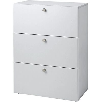 Eurokraft pro ANNY - Armoire pour archives suspendues, 1100x800x420mm, gris clair - Armoire Eurokraft pro ANNY - Armoire pour archives suspendues, 1100x800x420mm, gris clair - Armoire