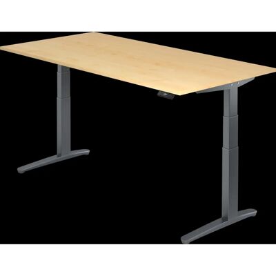 Hammerbacher Elektrische Verstelbare Bureaublad - Grijs & Eiken - 200x100cm Hammerbacher Elektrische Verstelbare Bureaublad - Grijs & Eiken - 200x100cm