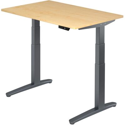 Hammerbacher Elektrische Zit-Sta-Bureau - 120x80cm, Beukenhout Hammerbacher Elektrische Zit-Sta-Bureau - 120x80cm, Beukenhout