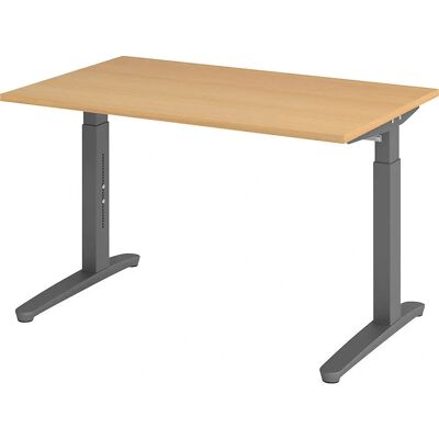 Eurokraft Pro ANNY - Höhenverstellbarer Schreibtisch - 1200mm - Grau/Buche Eurokraft Pro ANNY - Höhenverstellbarer Schreibtisch - 1200mm - Grau/Buche