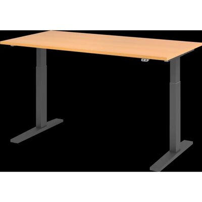 Hoger bureau Hammerbacher - Elektrisch verstelbaar - Beukenhout - 160x80cm Hoger bureau Hammerbacher - Elektrisch verstelbaar - Beukenhout - 160x80cm