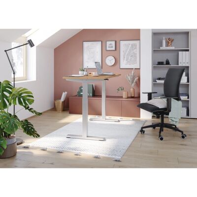 hjh OFFICE PRO XMST 614 S Elektrischer Höhenverstellbarer Schreibtisch - 140 x 67 - FSC Zertifiziert hjh OFFICE PRO XMST 614 S Elektrischer Höhenverstellbarer Schreibtisch - 140 x 67 - FSC Zertifiziert