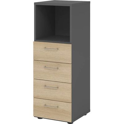 Eurokraft pro RENATUS - Armoire de rangement - Argent & Chêne Eurokraft pro RENATUS - Armoire de rangement - Argent & Chêne
