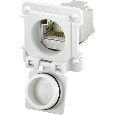 Weidmüller IE-XM-RJ45/IDC-IP67 - Plat - Gris - RJ-45 - IDC - Femelle - Nickel/Or - Accessoires réseau - Publicité Weidmüller IE-XM-RJ45/IDC-IP67 - Plat - Gris - RJ-45 - IDC - Femelle - Nickel/Or - Accessoires réseau - Publicité