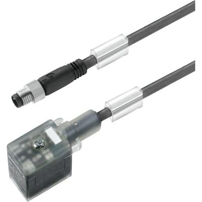 Weidmüller - SAIL-VSBD-M8G-3-5.0U - Cable - Publicité Weidmüller - SAIL-VSBD-M8G-3-5.0U - Cable - Publicité