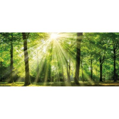 BÖNNINGHOFF Sonnenstrahl - Grünes Wandbild BÖNNINGHOFF Sonnenstrahl - Grünes Wandbild