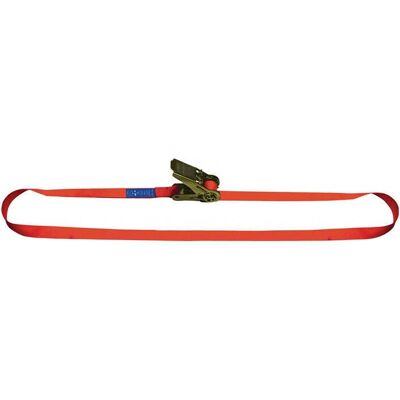 Dolezych Modello - Cinghia in poliestere - 5m di lunghezza - 25mm di larghezza - 1000 daN di carico - Cinghia di carico Dolezych Modello - Cinghia in poliestere - 5m di lunghezza - 25mm di larghezza - 1000 daN di carico - Cinghia di carico