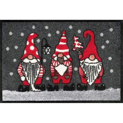 WASH+DRY BY KLEEN-TEX Winterzwerge Door Mat WASH+DRY BY KLEEN-TEX Winterzwerge Door Mat