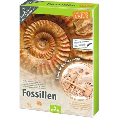 Kit d'excavation de fossiles Moses - Kit d'excavation de fossiles Kit d'excavation de fossiles Moses - Kit d'excavation de fossiles