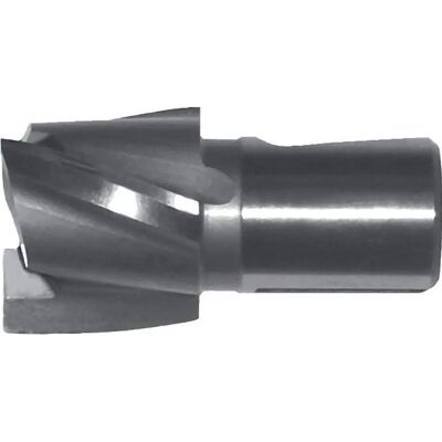 GFS Fräser - Modell 30,0 mm (K8) - Spiralrill för Skruvar GFS Fräser - Modell 30,0 mm (K8) - Spiralrill för Skruvar