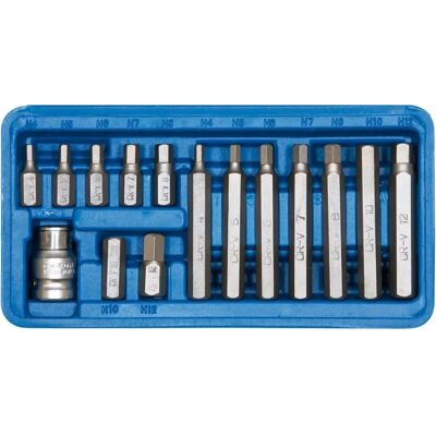 Set di 15 punte avvitatrice SW-Stahl - 3/8'' Inbus, Modello 04920L Set di 15 punte avvitatrice SW-Stahl - 3/8'' Inbus, Modello 04920L