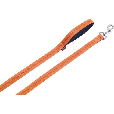 Nobby Modèle 78515-04 Laisse en nylon orange pour chien - Laisse pour chien - Publicité Nobby Modèle 78515-04 Laisse en nylon orange pour chien - Laisse pour chien - Publicité