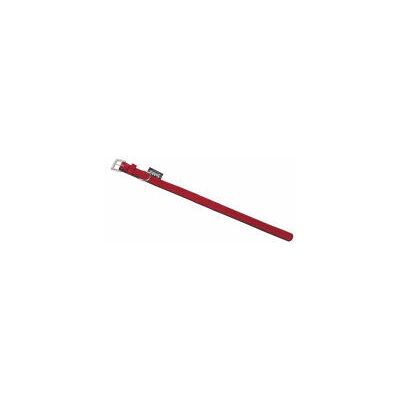 Nobby 78143-01 Rode S-M Hondenhalsband - Hondenhalsband Nobby 78143-01 Rode S-M Hondenhalsband - Hondenhalsband