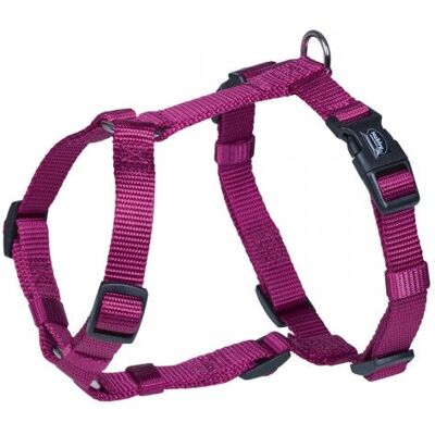 Nobby 73168-64 Harnais pour Chien et Chat - Harnais en Nylon Ajustable - Publicité Nobby 73168-64 Harnais pour Chien et Chat - Harnais en Nylon Ajustable - Publicité