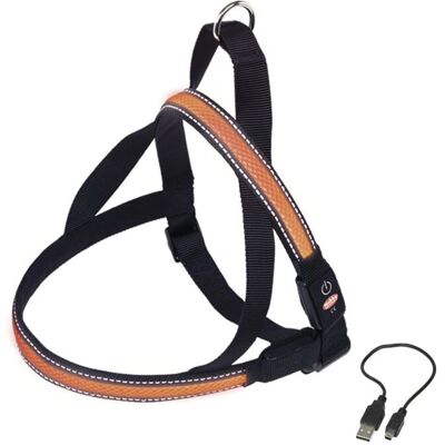 Nobby LED Norweger Geschirr Flash Mesh - Hundegeschirr - Orange Nobby LED Norweger Geschirr Flash Mesh - Hundegeschirr - Orange