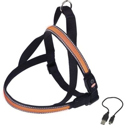 Nobby Orange Mesh LED Hundegeschirr - Reflektierend, USB-aufladbar Nobby Orange Mesh LED Hundegeschirr - Reflektierend, USB-aufladbar