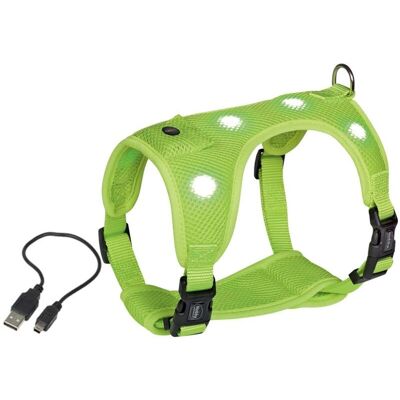 Nobby LED Dog Harness - Reflective Mesh, Adjustable, Night Safety Nobby LED Dog Harness - Reflective Mesh, Adjustable, Night Safety