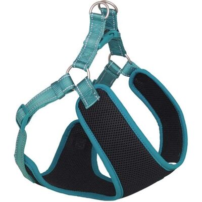 Ensemble de lingerie noire avec porte-jarretelles Nobby pour femmes - 4 pièces - Publicité Ensemble de lingerie noire avec porte-jarretelles Nobby pour femmes - 4 pièces - Publicité