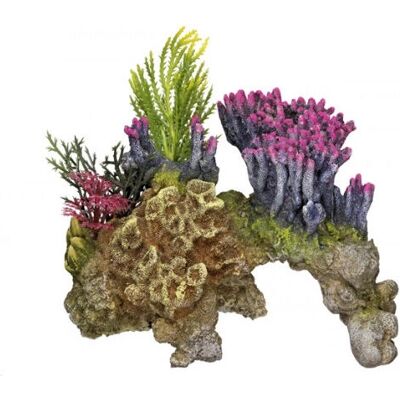Nobby 28064 aquarium decorative ornament - Multicolour - Aquarium Decoration Nobby 28064 aquarium decorative ornament - Multicolour - Aquarium Decoration