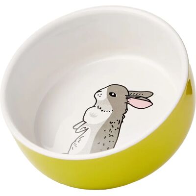 Bol en céramique Nobby pour rongeurs - Vert et blanc - 11x4,5cm Bol en céramique Nobby pour rongeurs - Vert et blanc - 11x4,5cm