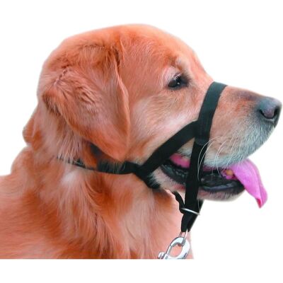 Nobby Easy Leader - Storlek 4 Hundhalsband och Lina Nobby Easy Leader - Storlek 4 Hundhalsband och Lina
