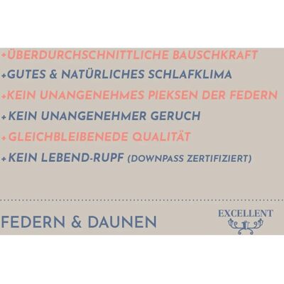 EXCELLENT Davos 80cm x 80cm Allergiker Kopfkissen EXCELLENT Davos 80cm x 80cm Allergiker Kopfkissen