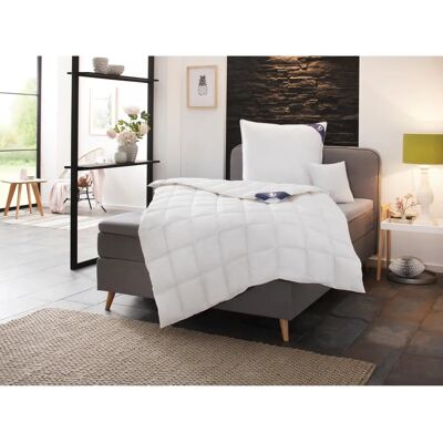 SPESSARTTRAUM Premium Daunendecke - 200x200cm, weiß, hergestellt in Deutschland SPESSARTTRAUM Premium Daunendecke - 200x200cm, weiß, hergestellt in Deutschland