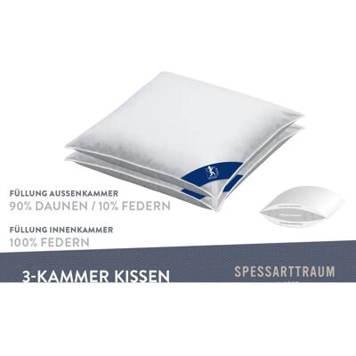 SPESSARTTRAUM Arosa Sparset - 3-Kammer-Kopfkissen - Weiß SPESSARTTRAUM Arosa Sparset - 3-Kammer-Kopfkissen - Weiß