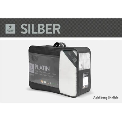 SPESSARTTRAUM Silber Daunendecke - Bettart: Kassetten, Normal, 240x220cm SPESSARTTRAUM Silber Daunendecke - Bettart: Kassetten, Normal, 240x220cm