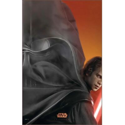 Affiche Star Wars La revanche des Sith - 101,5 x 68,5 cm - Publicité Affiche Star Wars La revanche des Sith - 101,5 x 68,5 cm - Publicité