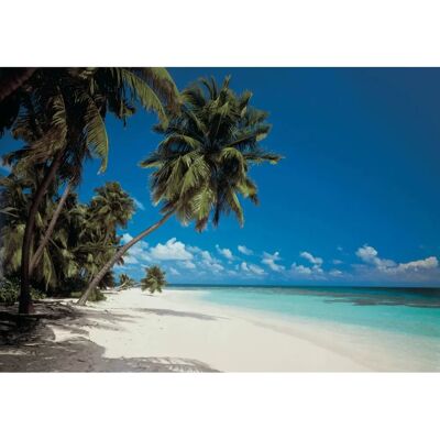 KOMAR Maldives Fototapete - Bunte Natur Tapete KOMAR Maldives Fototapete - Bunte Natur Tapete