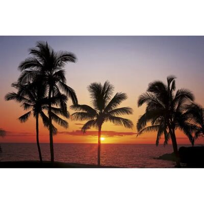 Komar Hawaii Fotobehang - 368x254cm - 8-teilig Komar Hawaii Fotobehang - 368x254cm - 8-teilig