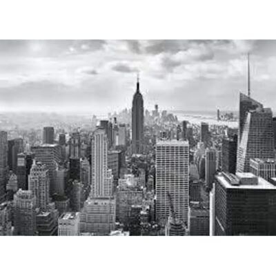 Fototapeta NYC černobílá - 368x254 cm Fototapeta NYC černobílá - 368x254 cm