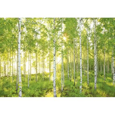 Mural de Pared Trenddeko KO8-519 - Natur, Bosque, Mar - Decoración Interior Mural de Pared Trenddeko KO8-519 - Natur, Bosque, Mar - Decoración Interior
