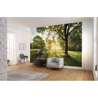 KOMAR Golden Moment Wallpaper - Colorful, Lightfast, German Quality KOMAR Golden Moment Wallpaper - Colorful, Lightfast, German Quality
