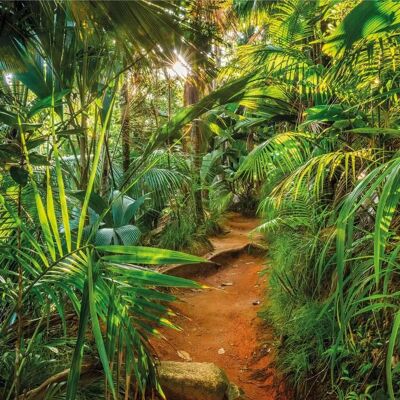 KOMAR Papier Peint Jungle Trail 368x254cm KOMAR Papier Peint Jungle Trail 368x254cm