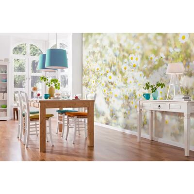 KOMAR Gänseblümchen Fototapete - Lichtbeständig, 3,68x2,54m, 8 Rollen KOMAR Gänseblümchen Fototapete - Lichtbeständig, 3,68x2,54m, 8 Rollen