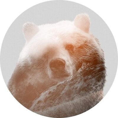 KOMAR Bearava Vliestapete - Selbstklebend, Dimensionsstabil, Wasserbeständig KOMAR Bearava Vliestapete - Selbstklebend, Dimensionsstabil, Wasserbeständig