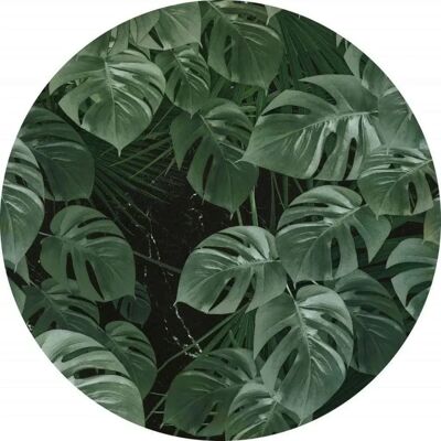 KOMAR Vliestapete "Novel Monstera" grün 125x125cm selbstklebend KOMAR Vliestapete "Novel Monstera" grün 125x125cm selbstklebend