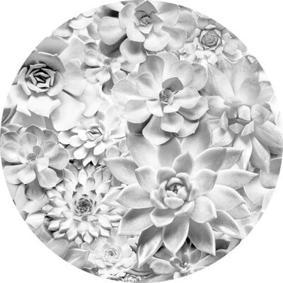 Komar Echeveria Self-adhesive Wall Mural - Wall Covering Komar Echeveria Self-adhesive Wall Mural - Wall Covering