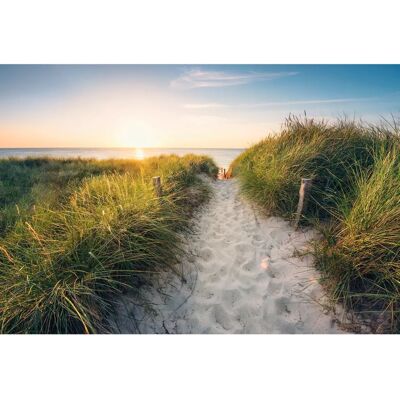 KOMAR Hochwertige Strandmotiv Tapete - Vlies Tapete KOMAR Hochwertige Strandmotiv Tapete - Vlies Tapete